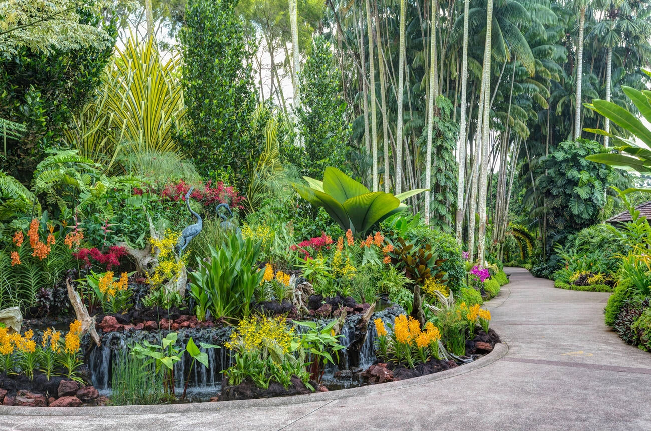 botanic-garden-of-indian-republic