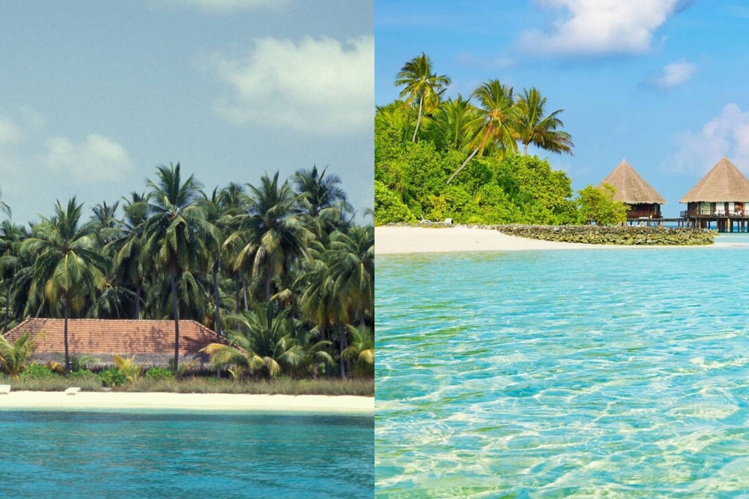 differences-between-lakshadweep-vs-maldives