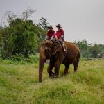 elephant-trekking-in-thailand