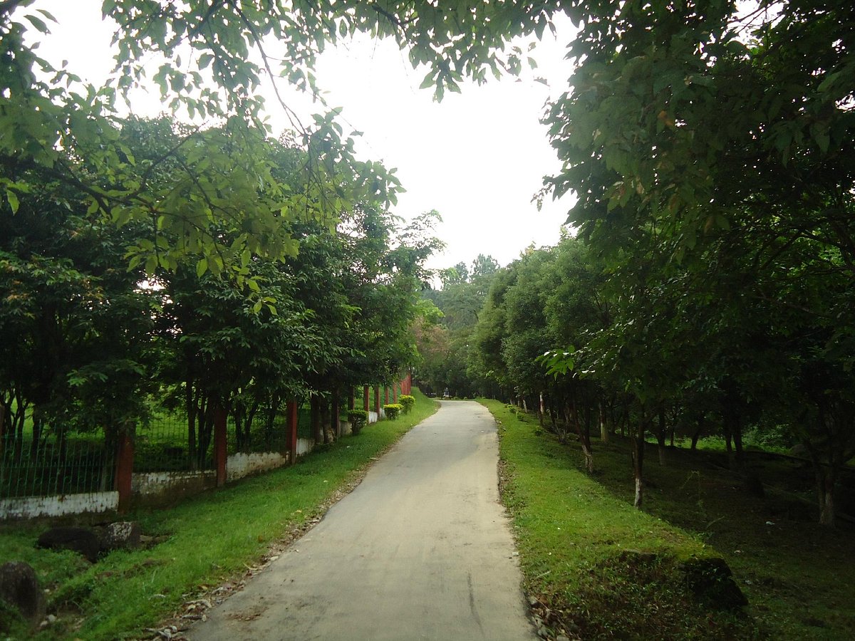 indira-gandhi-park-itanagar