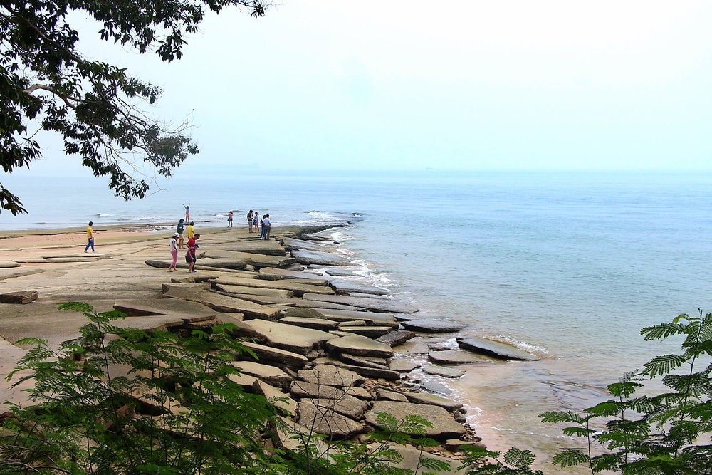 fossil-shell-beach