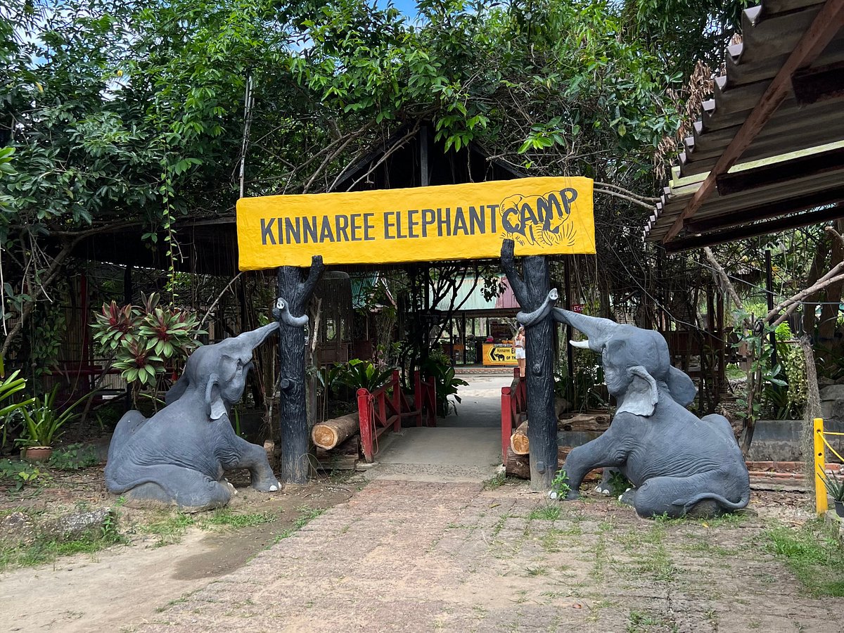 kinnaree-elephant-trekking