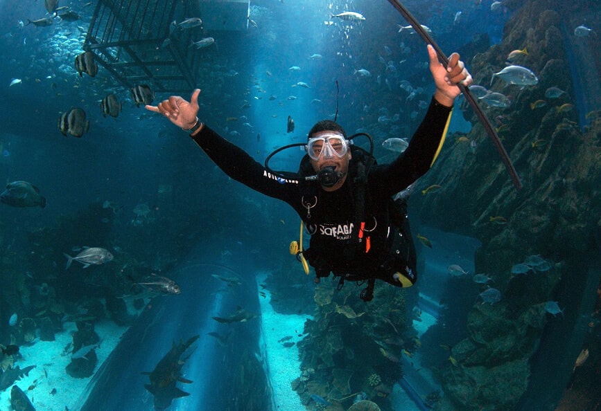 shark-diving-dubai-aquarium