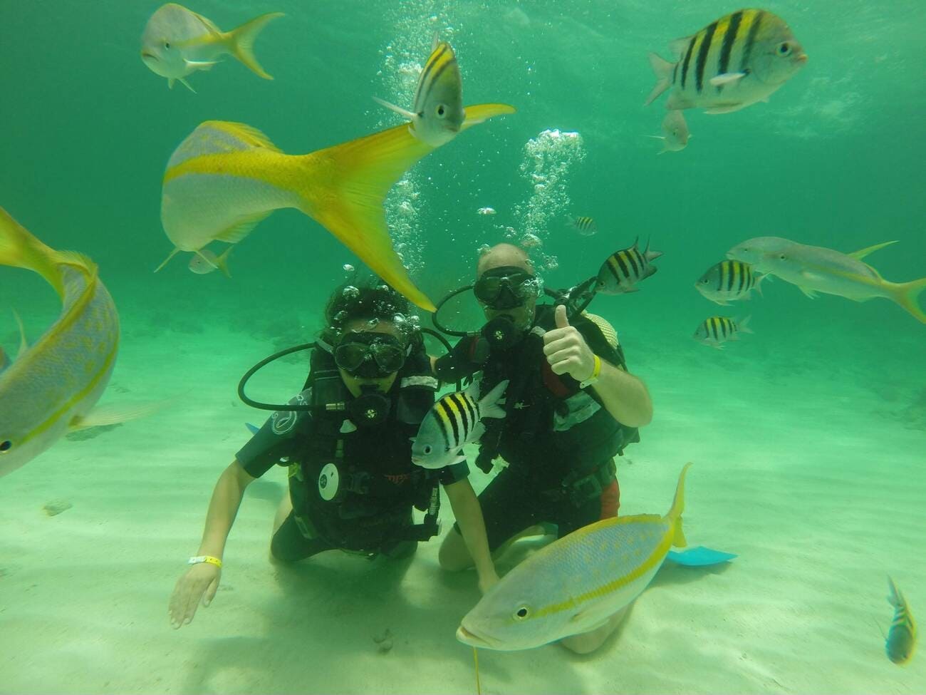swim-with-the-fish-as-you-go-scuba-diving