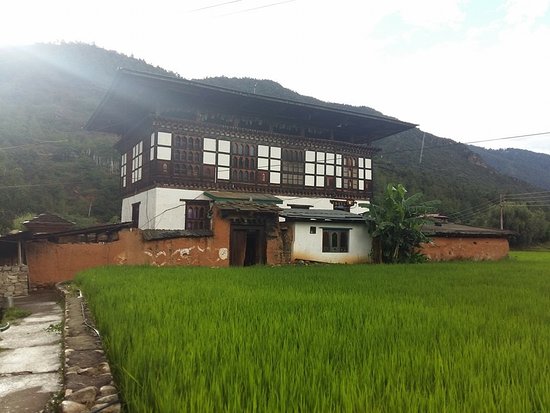 tshering-homestay