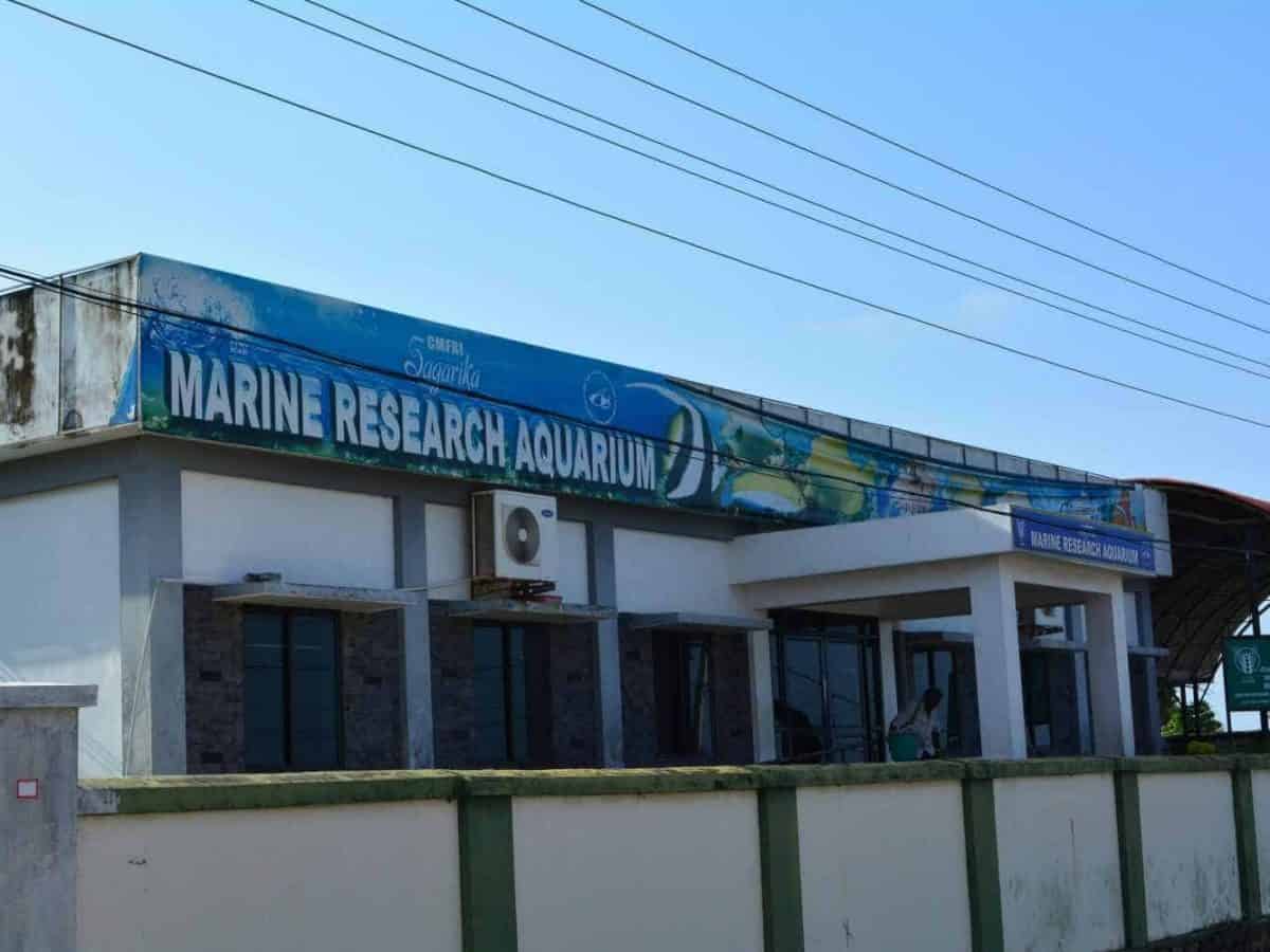 sagarika-marine-research-aquarium-thiruvananthapuram