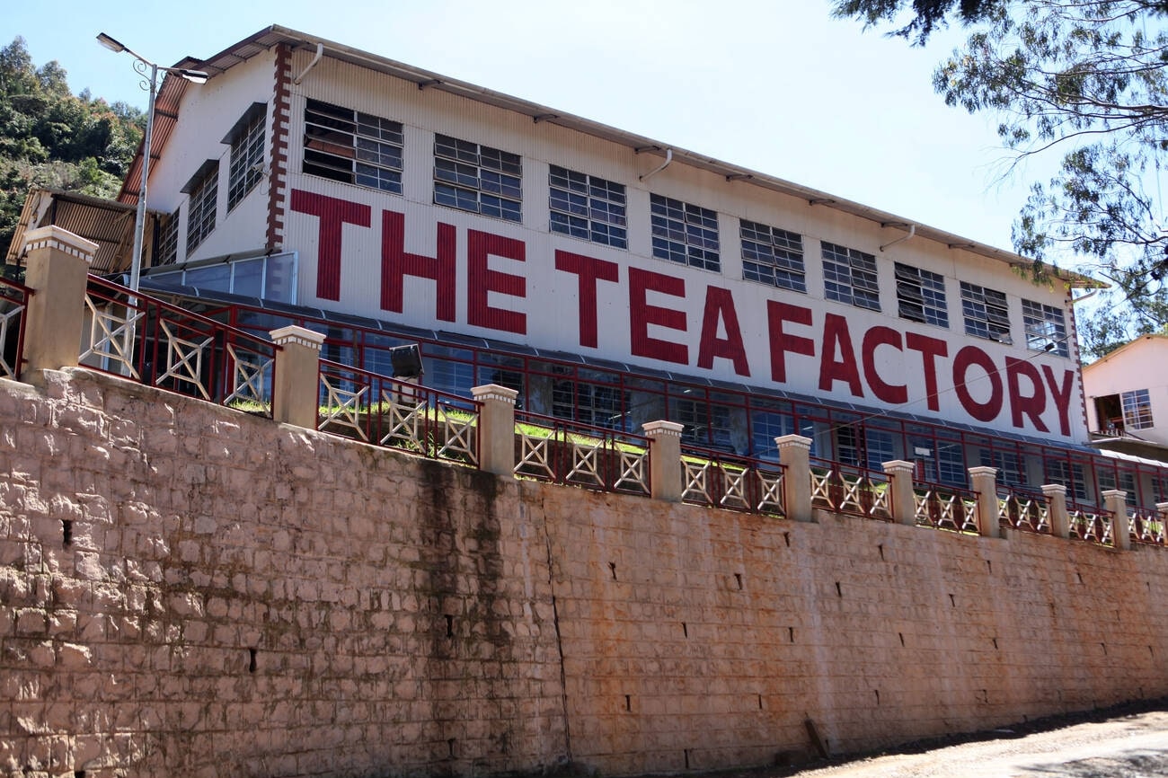 doddabetta-tea-factory-ooty