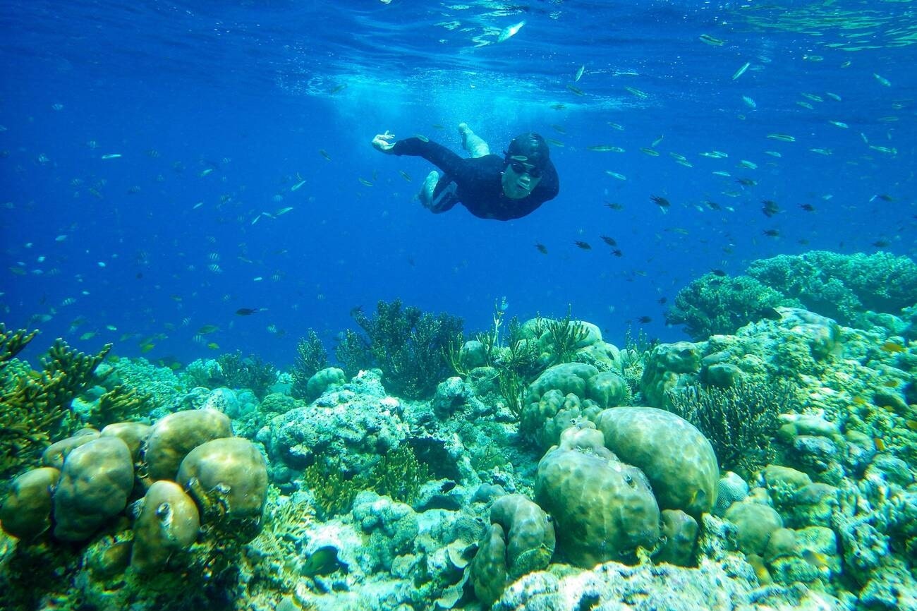 diving-and-snorkeling-of-the-coast