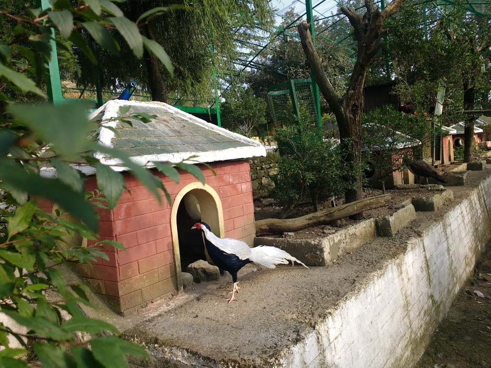 himalayan-bird-park-shimla