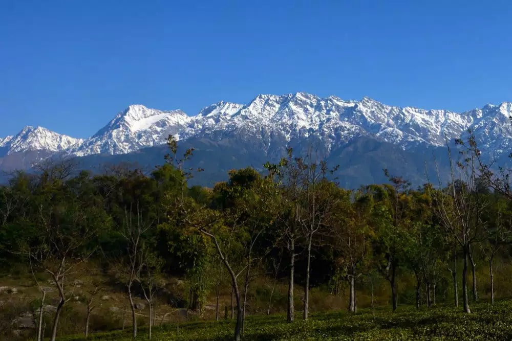 best-time-to-visit-palampur