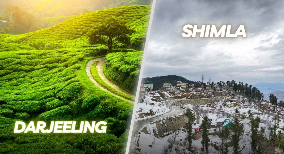 darjeeling-vs.-shimla