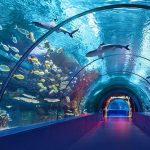 Dwarka underwater fish tunnel
