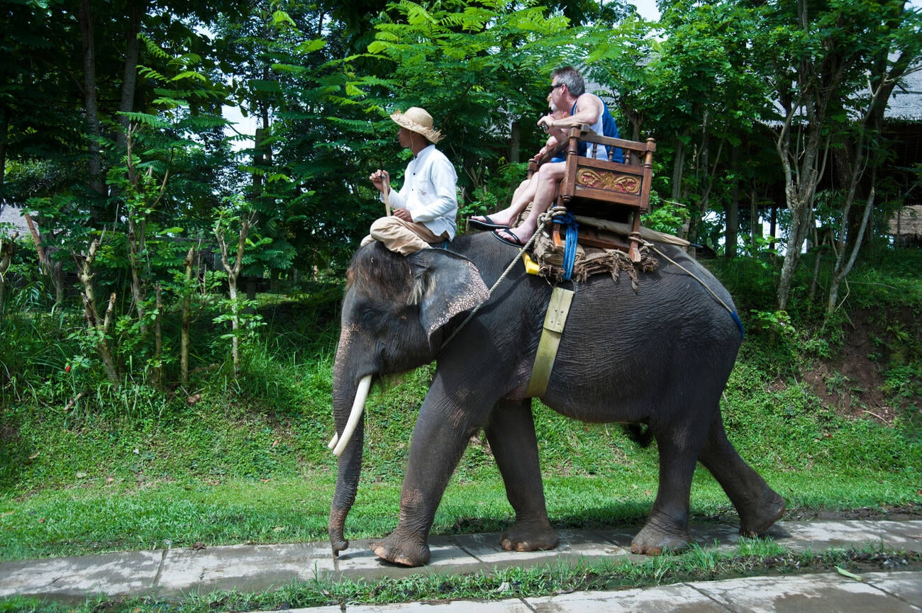 elephant-riding-at-carmelagiri-elephant-park