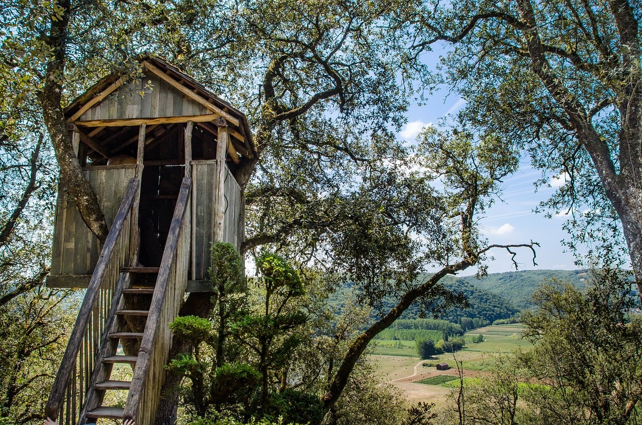 little-wood-treehouse