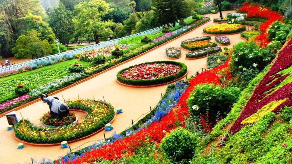 zakir-hussain-rose-garden