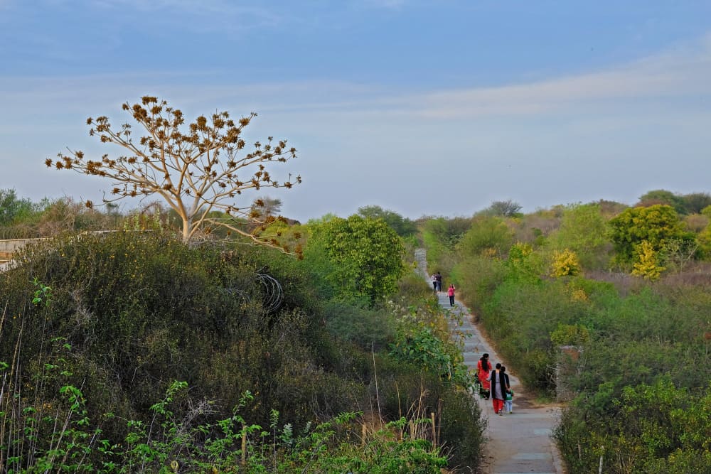aravalli-biodiversity-park
