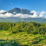 Eat, Pray, and Love: All about Bali in summer