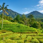 Balinese Language and other languages in Bali: A quick review