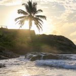 18 Best Things to do in Bentota, Sri Lanka