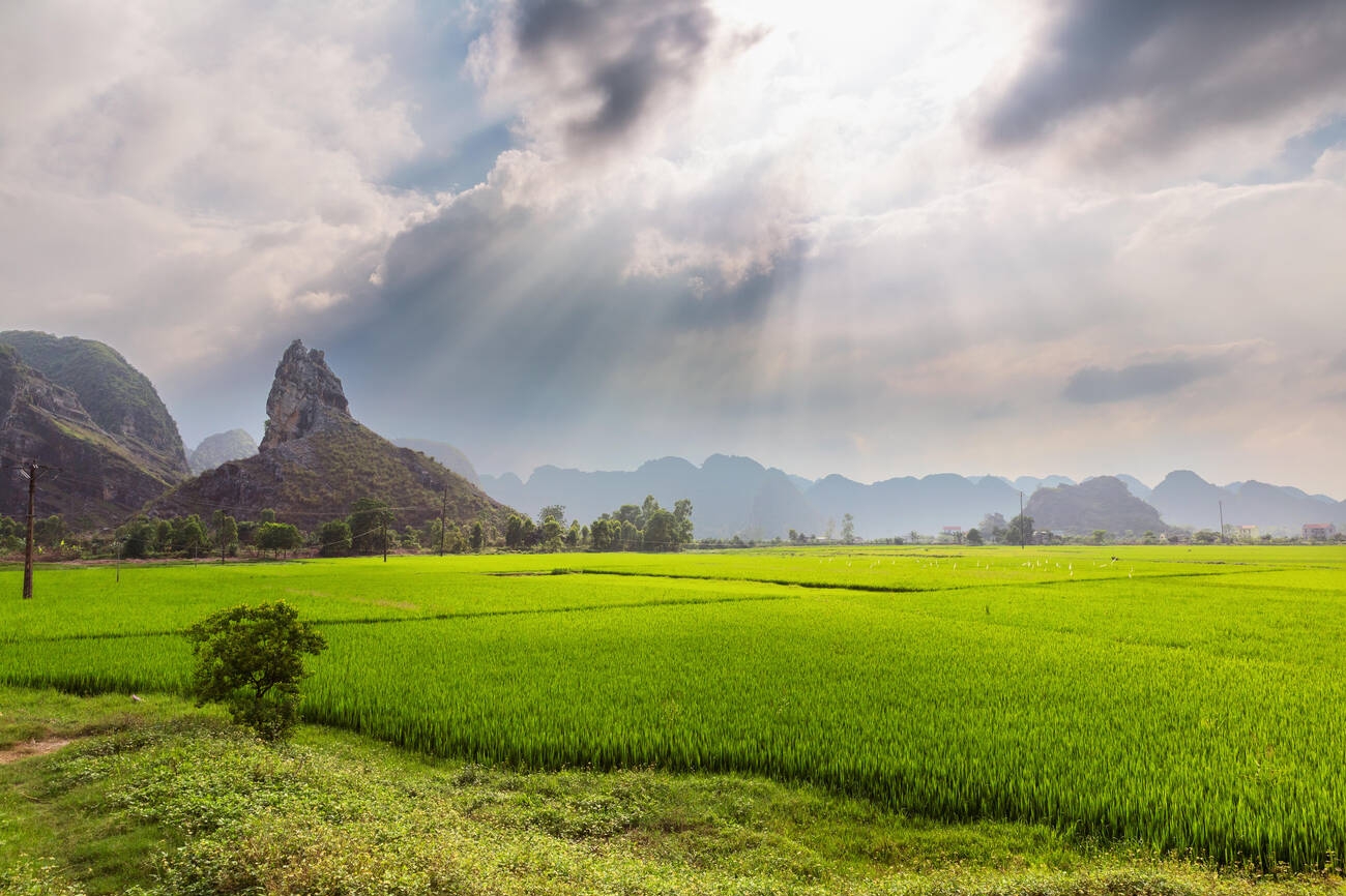best-time-to-visit-in-ninh-bhin