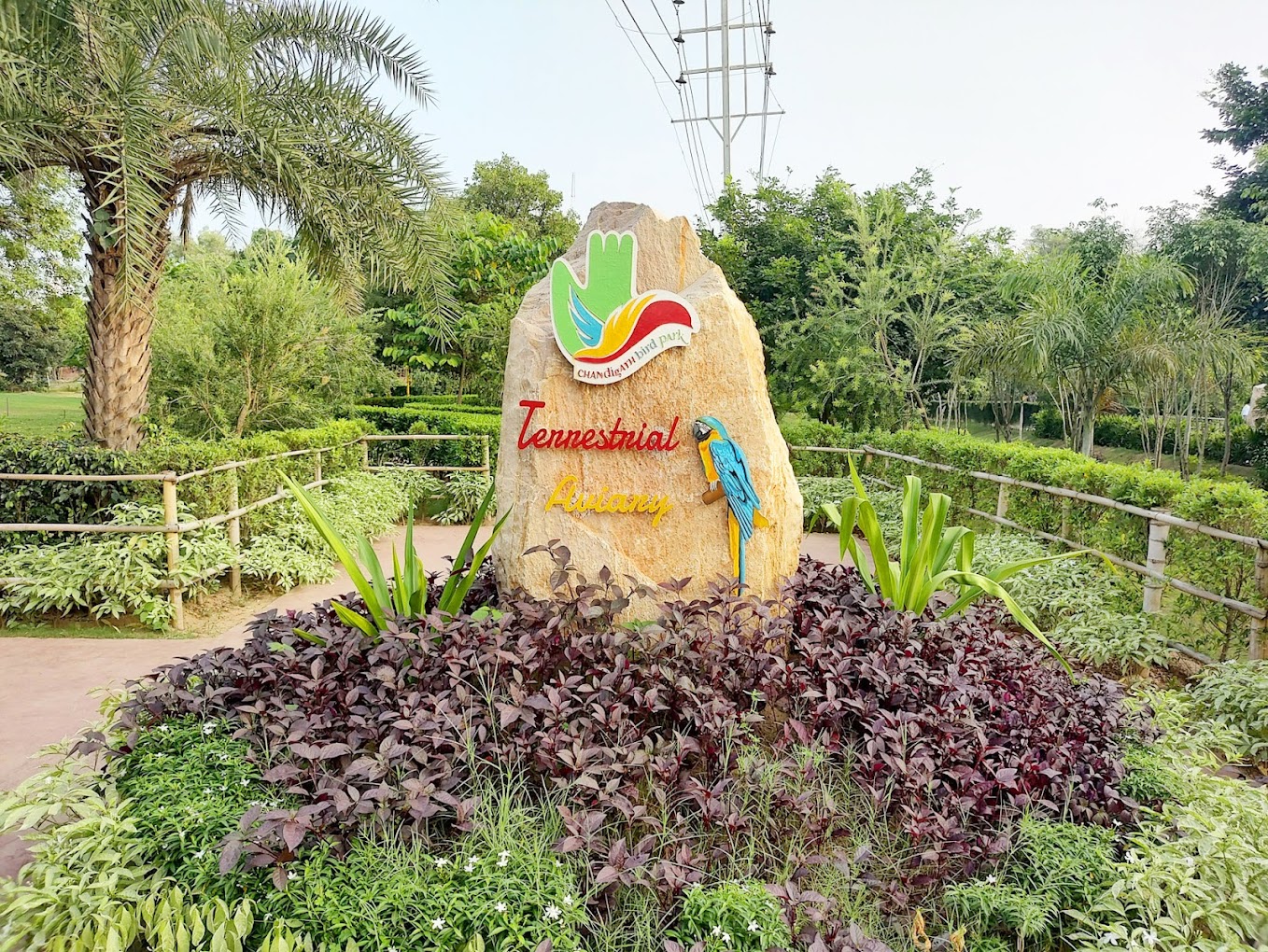 chandigarh-bird-park