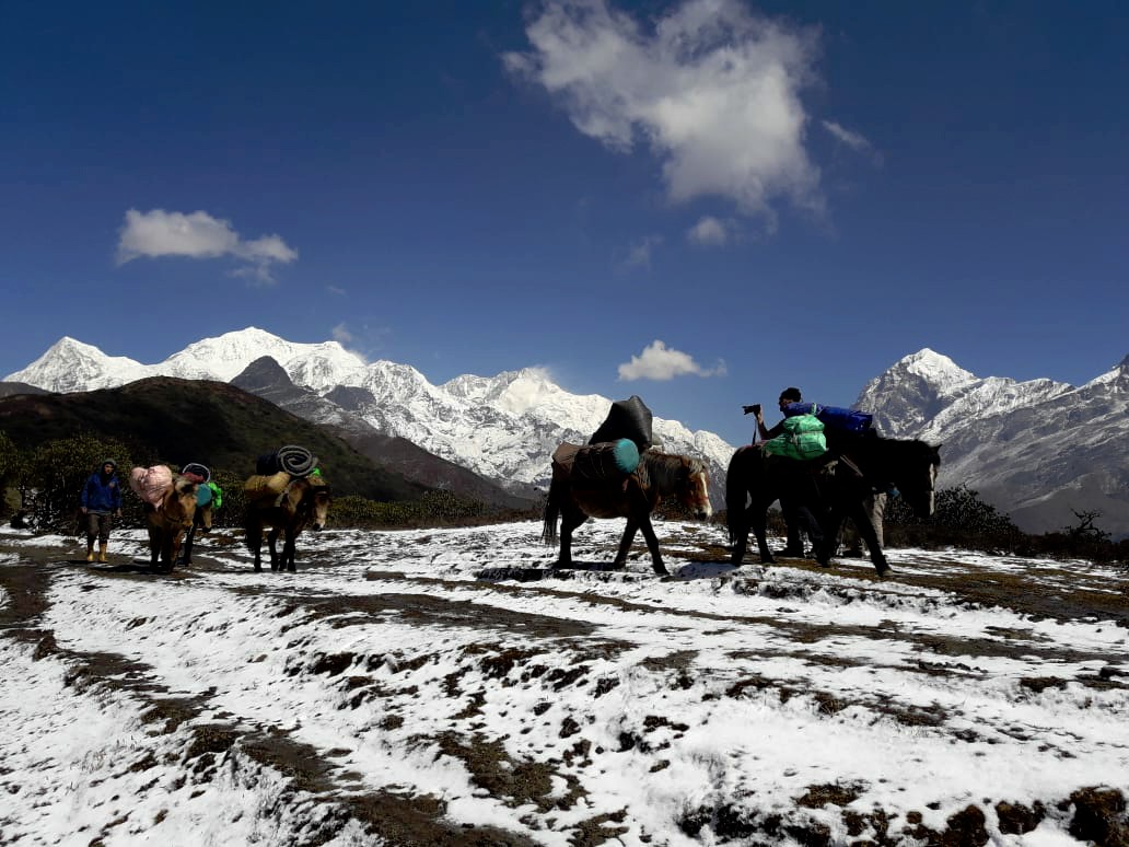 Dzongri Trek in Gangtok