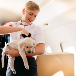 flying-with-pets-policy