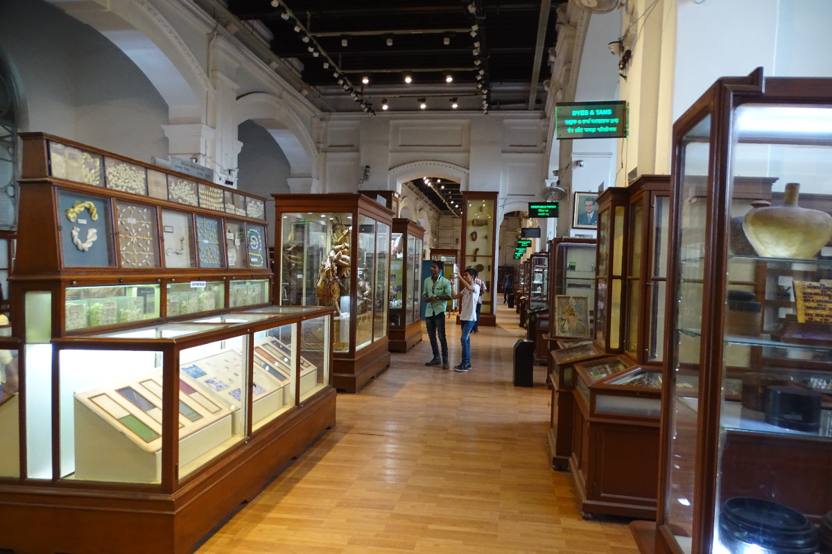 Galleries and Sections of the Museum