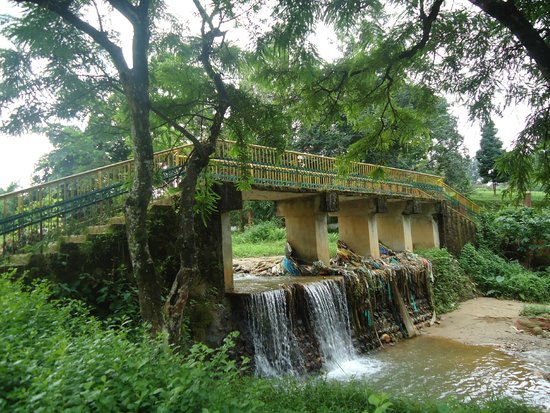 indira-gandhi-park-in-papum-pare-district.