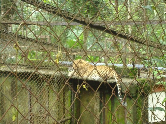 itanagar-zoo