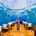 Ithaa Undersea Restaurant Maldives: A Breathtaking Underwater Escape