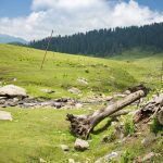 Kishtwar National Park in Kashmir 2024: The Complete Guide