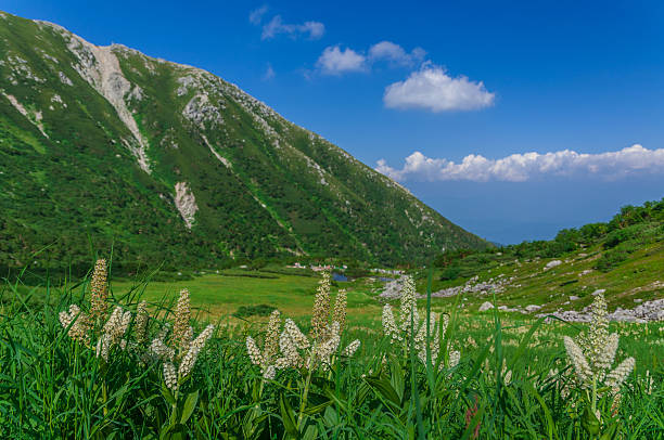 kyongnosla-alpine-santuray