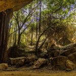 Naida Caves- Daman and Diu