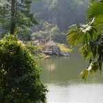 A Local’s Guide to the Top 10 Parks in Papum Pare District