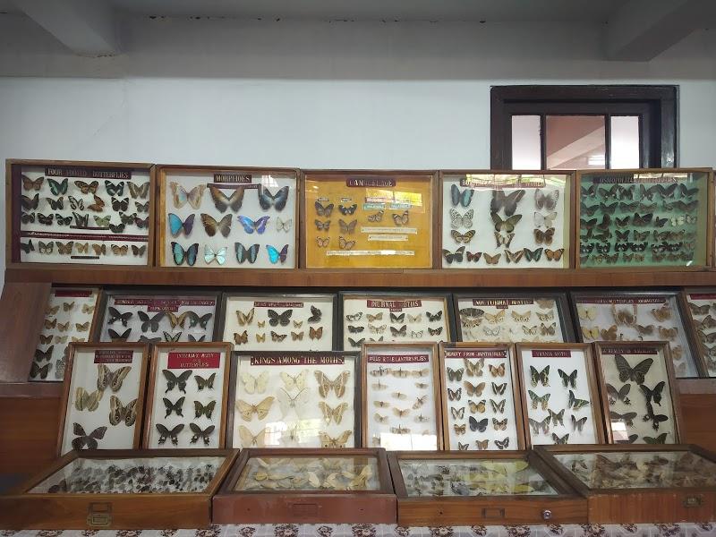Programs at the Wankhar Entomological Museum