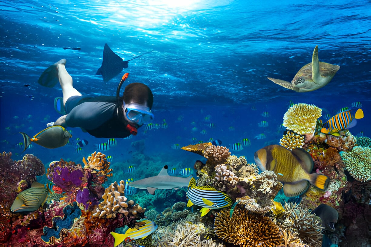 scuba-diving-at-nemo-reef