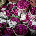 sivaganga-flower-festival