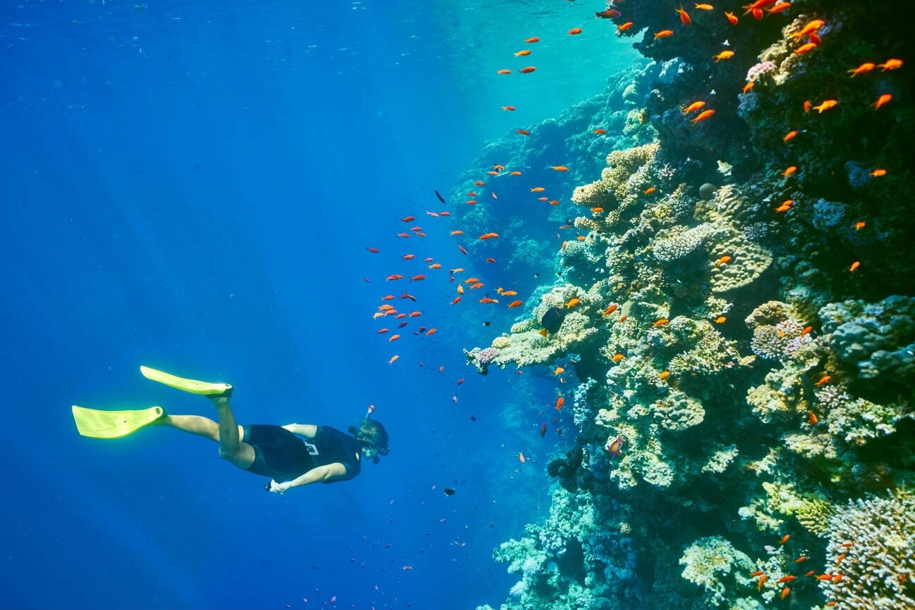 snorkeling-and-diving
