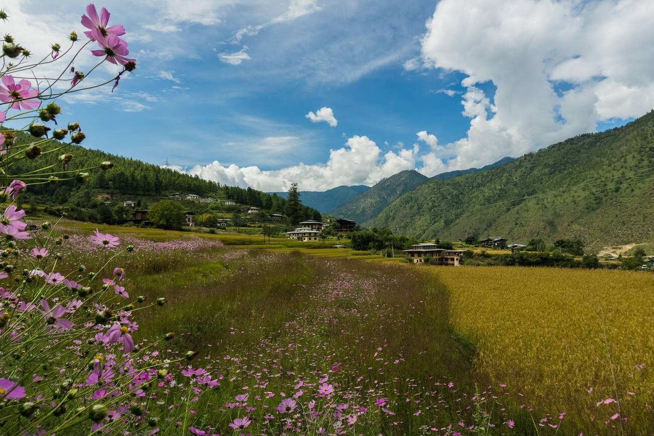 spring-season-in-bhutan