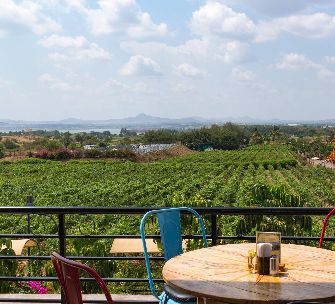 sula-vineyards-explore-the-heart-of-wine-country