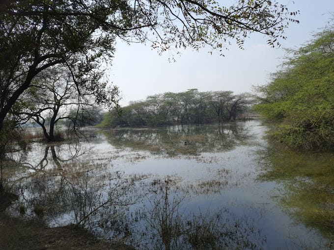 sultanpur-national-park