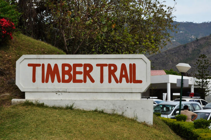 timber-trail