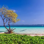20 Travel Tips for Havelock Island