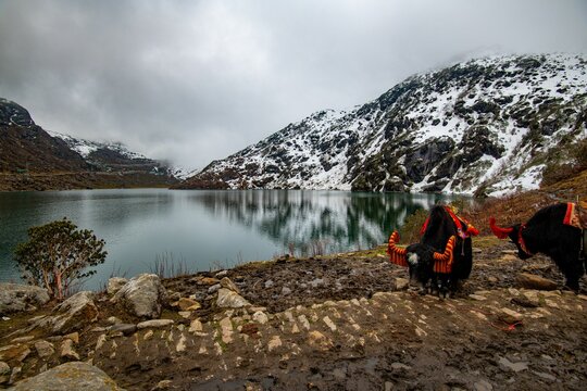 Tsomgo Lake Adventure Park in Gangtok