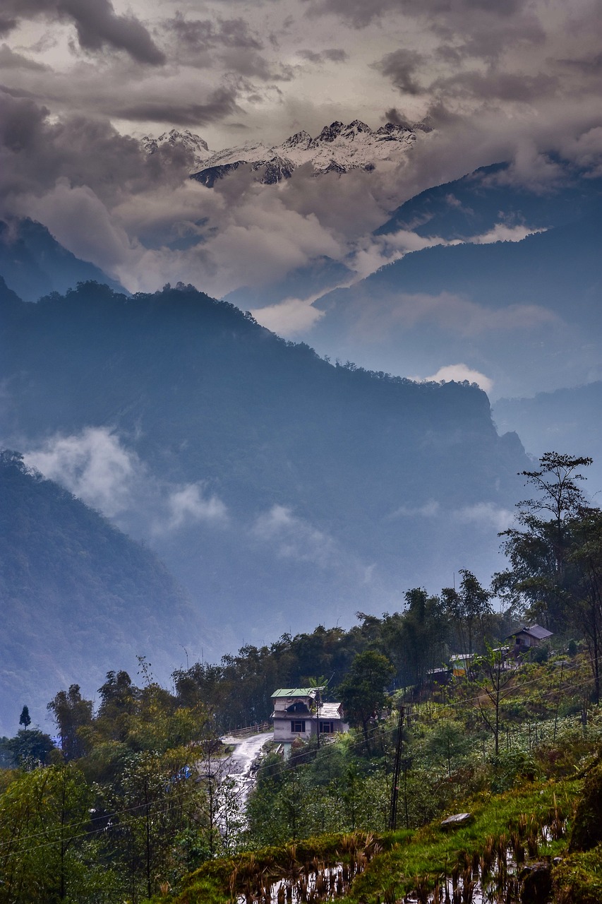 Varsey Nature Trail in Gangtok