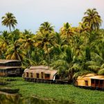 Best Travel Guide To Vembanad Lake In Kottayam, Kerala