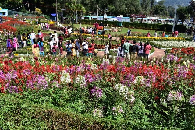 visit-sivaganga-flower-festival