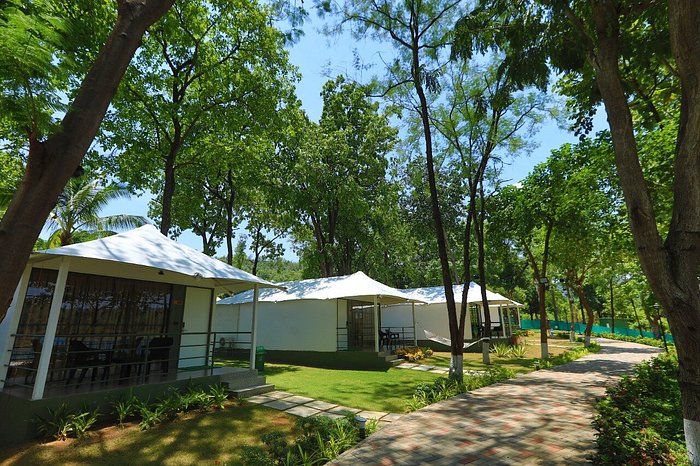 whitefeather-glamping-tent-resort