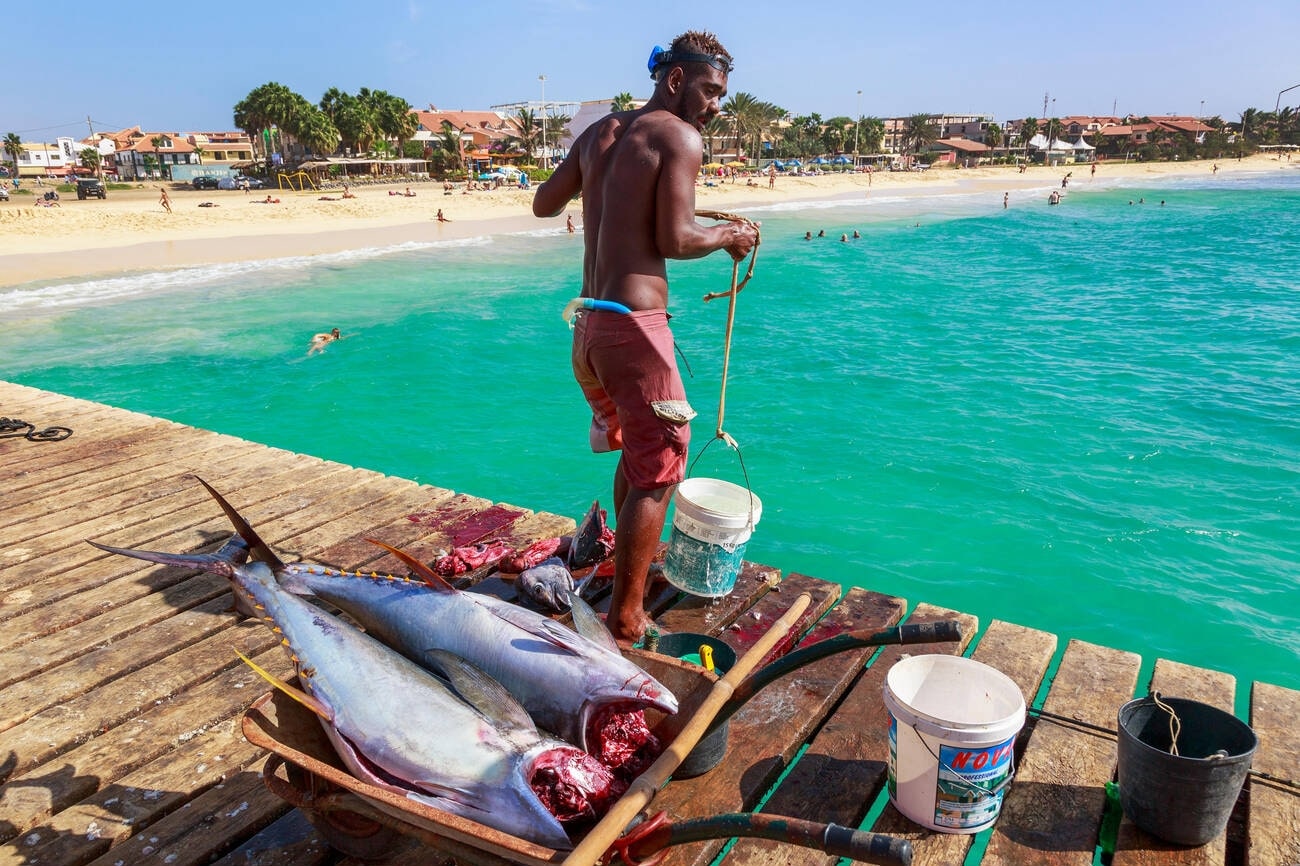 witness-the-minicoy-tuna-fishing-tradition